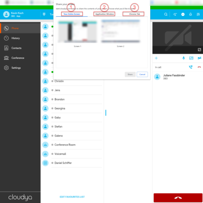 Screensharing_window_options_marked Screensharing_window_options_marked