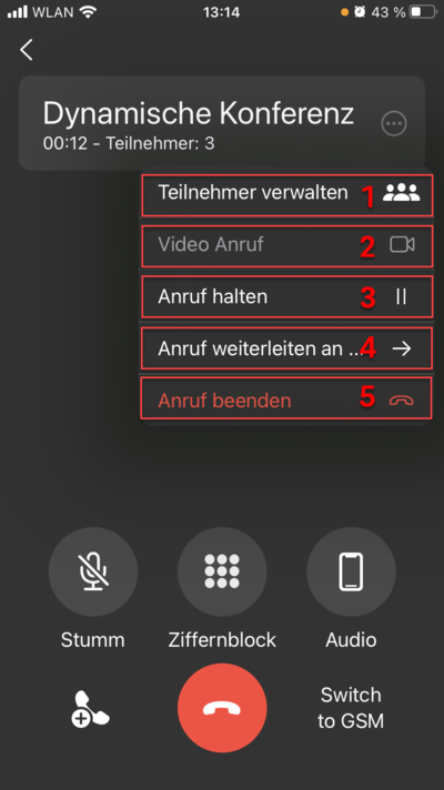 C._Dynamic_Conference_Options C._Dynamic_Conference_Options