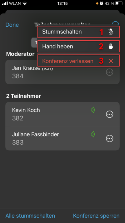 C._Conference_managing_host_options C._Conference_managing_host_options