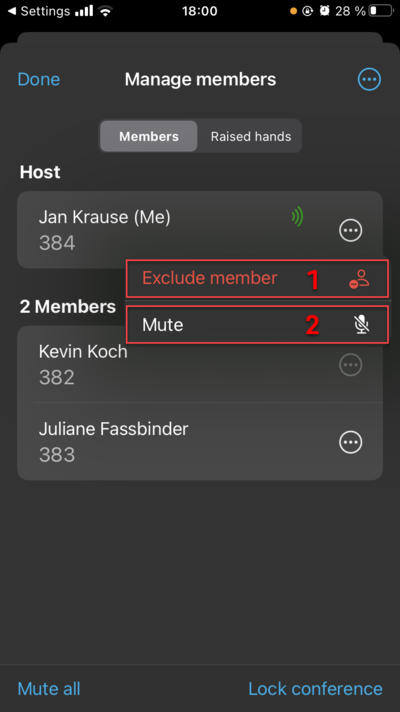 C.1_Conference_Member_options C.1_Conference_Member_options